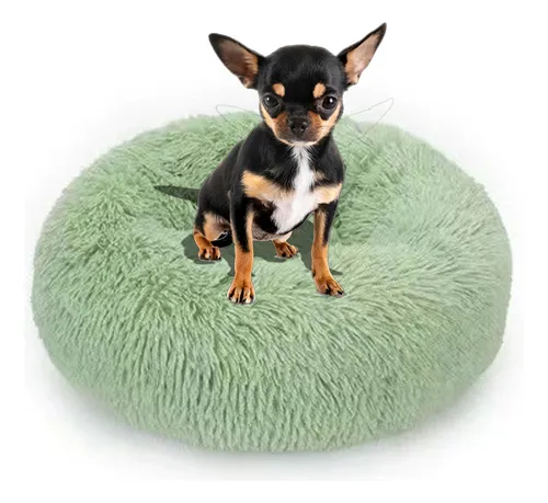 Camas Para Chihuahuas Baratas MercadoLibre