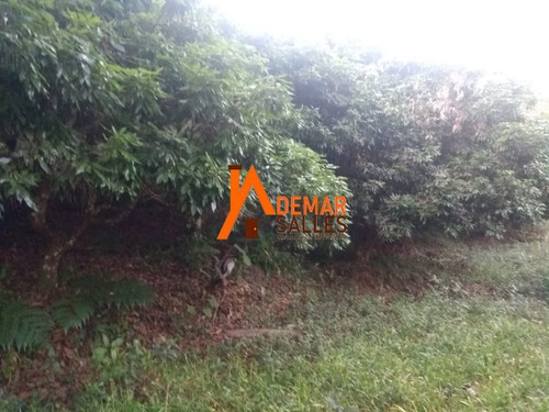 Imagem 10 de 23 de Chacara - Ch00064 - 68105344