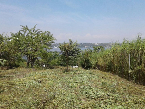 Imagen 4 de 9 de Terreno En Primera Sección Lago De Tequesquitengo