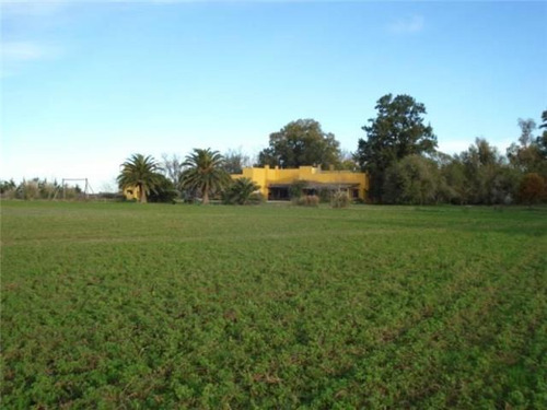 Imagen 10 de 26 de Alquiler.campo. Provincia De Buenos Aires. Ranchos