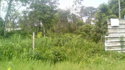 Imagem 1 de 3 de Lote Plano No Bairro Sitio Velho