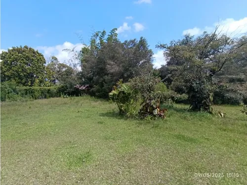 Vendo Lote En Llano Grande Vereda Cabeceras De 6.307 M² Sobre Vía