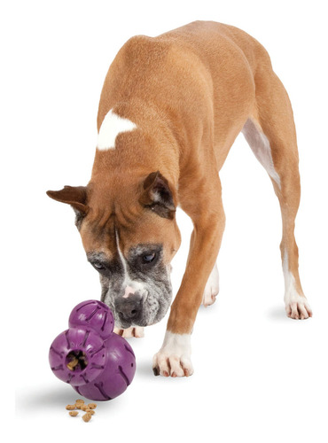 Dispensador De Golosinas Para Perros Busy Buddy, De Juguete