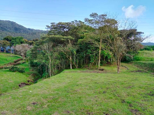 Imagen 28 de 30 de Hermosa Finca Campesina En Venta En Parcelación Excelente Vecindario.