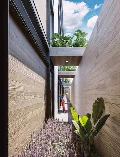 Preventa De Townhouse En Tlacotalpan, Roma Sur Th3