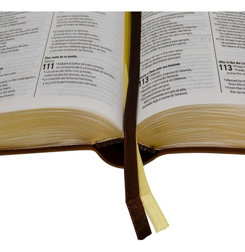 Biblia trilingüe: NAA/ESV/RVC, de la Sociedad Bíblica de Brasil. Serie de la Santa Biblia, vol. 1. Editora Bíblica do Brasil, tapa blanda, primera edición en español/inglés/portugués, 2023