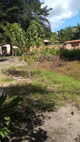 Terreno Com Casa Pequena