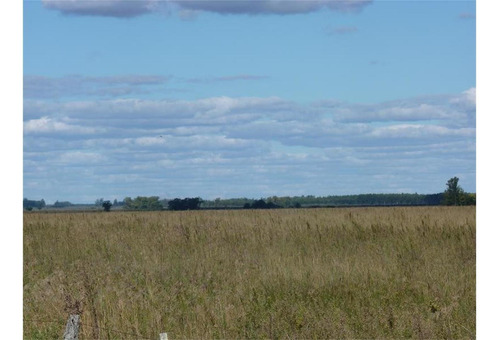 Imagen 1 de 12 de Campo Agrícola - El Redomon