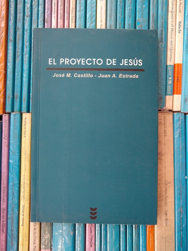 El Proyecto De Jesus Castillo Estrada -rf Libros 