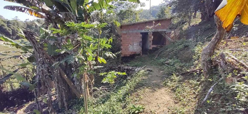 Imagem 8 de 14 de Miracatu/belo Sitio C/lago/casa//morar/plantar/ref:05235