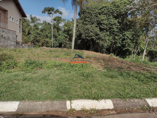 Imagem 3 de 9 de Terreno - Te00035 - 69551895