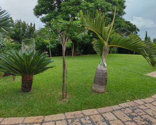 Chácara Com 2 Casas No Colina I / Indaiatuba - Ch00060 - 69030973
