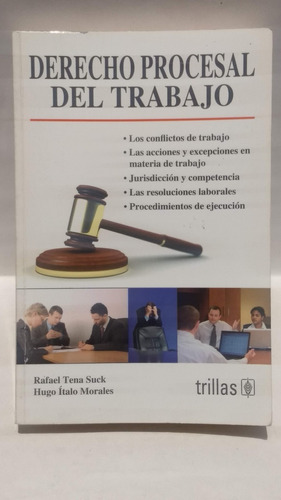 Rafael Tena Y Hugo Ítalo Morales, Derecho Procesal Del 