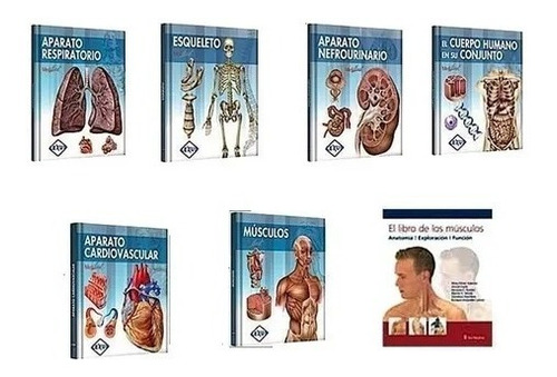 Libros Anatomía Biblioteca Del Cuerpo Humano 7 Tomos