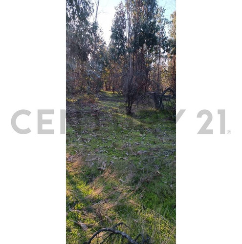 Hermoso Terreno En Litueche