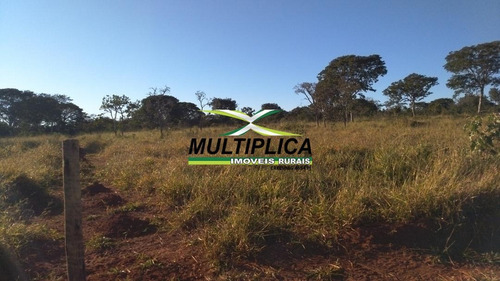 Chácara Em Uberlândia Escritura Individual 20.000 M² Apenas 20 Km Da Cidade - 399