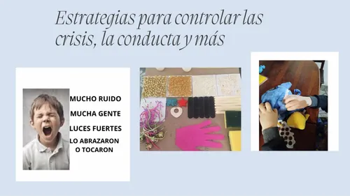 Libro/ Capacitación Para Padres De Niños Con Autismo
