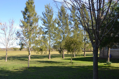 Imagen 5 de 7 de Quinta Venta Ranchos