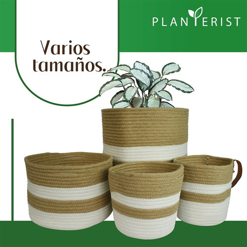 Planterist - Maceta Tejida Autorregable - Chica Color Patzcuaro