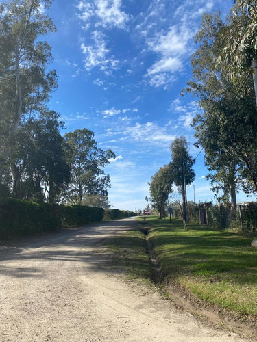 Terreno En Barrio Cerrado Las Carquejas 641 1 Y 2