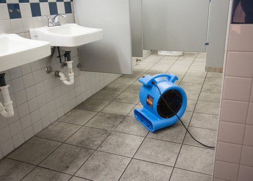 Ventilador De Piso Para Secado De Moquetas Profesional Azul