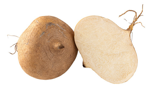 Semilla De Jicama Var. San Juan (2 Millares)