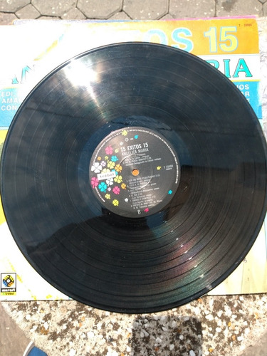 Rock And Rollo Discos Lp Acetato Vinilo Envío Gratis Rockola (Usado)