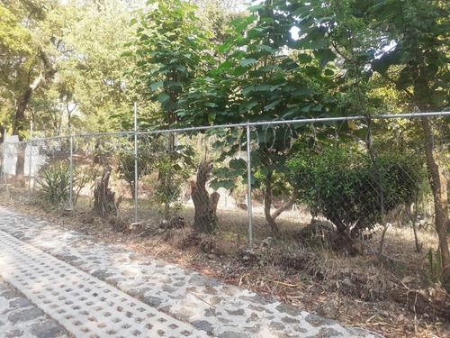 Hermoso Terreno En Tlaltépetl Tepoztlán Morelos