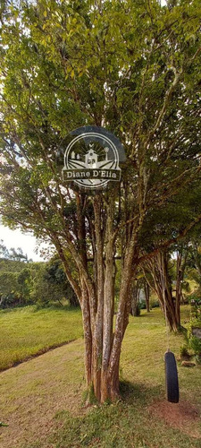 Imagem 2 de 11 de Graça De Chácara Em Biritiba Mirim!!!