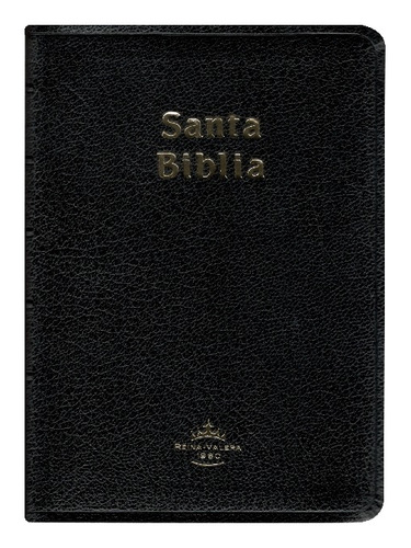 Biblia Tamaño Chico Rvr1960 Imit Piel Negro Con Índice