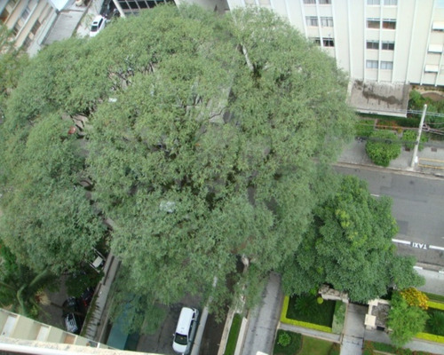 Imagem 16 de 16 de Apartamento - Jd 789 - 33194715