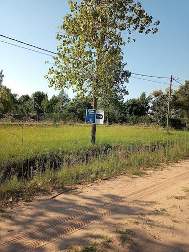 Imagen 3 de 4 de Terreno - La Capital