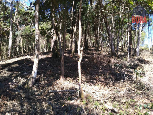 Imagem 4 de 6 de Terreno À Venda, 1365 M² Por R$ 60.000 - Mato Dentro - Mairiporã/sp - Te0308