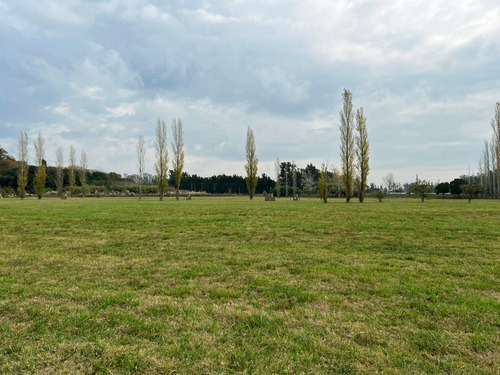 Imperdible Lote De 2.300 M2 En Los Girasoles De Luján Barrio Cerrado