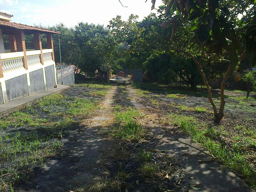 Chácara Com 2 Dormitórios À Venda, 2000 M² Por R$ 500.000,00 - Bela Vista - Elias Fausto/sp - Ch0070
