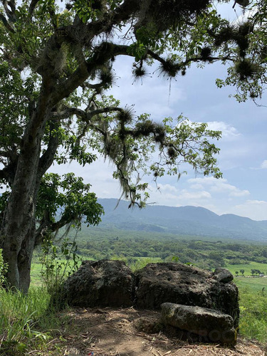 Rancho En Venta La Concepción Ver, 15 Mins De Xalapa Ver.