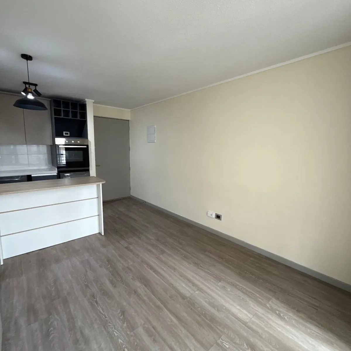 Imagen 5 de 26 de Arriendo Depto 1 Dormitorio 1 Baño Bodega Y Estacionamiento