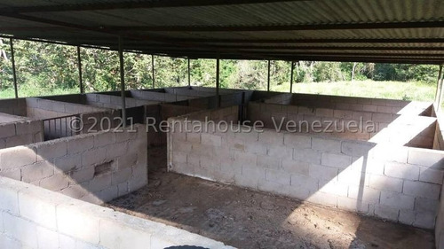 Imagen 6 de 15 de Finca En Venta Tinaquillo Cojedes Gav
