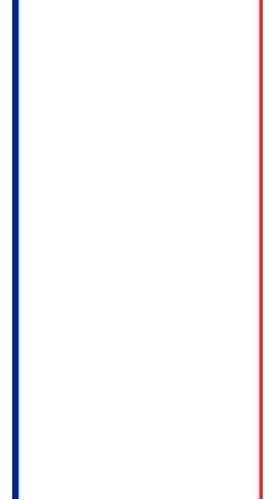 Bandera Francia 100cm X 150cm Poliester Añadido