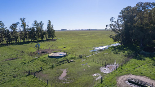 Campo En Venta Mixto 188ha San Andres De Giles
