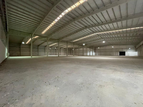 Imagen 23 de 30 de Fracción Industrial 26 Ha. Galpón 12.800 M² Cub. - Carlos Spegazzini
