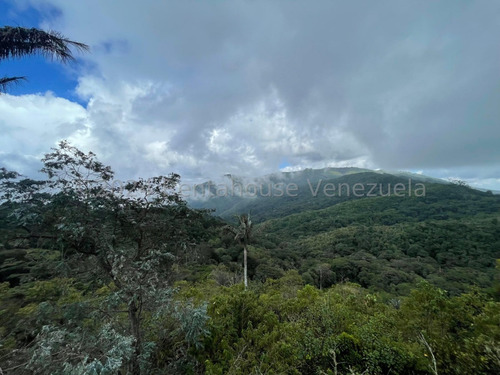 Excelente Casa En Venta En La Colonia Tovar Con 2200 De Terreno Excelente Ubicación Tanque De Agua Excelente Altura Nela 24-18402