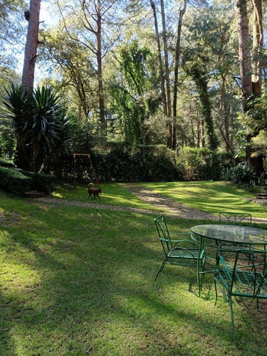 Imagen 4 de 19 de Departamento Tipo Cabaña En Medio Del Bosque Cerca De Santa Fe Pet Friendly Zona Ecolgica San Mateo Tlaltenango