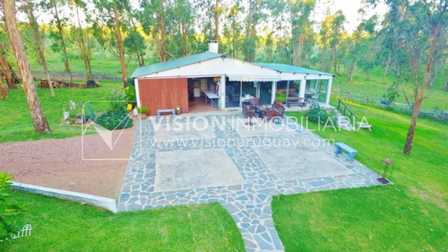 Imagen 15 de 30 de Chacra De 15 Hás Con El Confort De Hermosa Casa Reciclada, Barbacoa Y Piscina Climatizada.