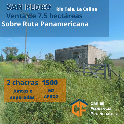 Venta De 2 Chacras En San Pedro.