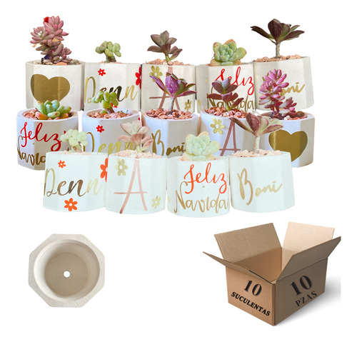 Recuerdos Fiesta 10 Macetas - Personalizables Suculentas