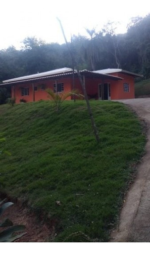 Imagem 11 de 28 de Sitio Em Ravena 10 Mil M2 C/ Piscina, Area De Churrasco, Arvores Frutiferas - 94803