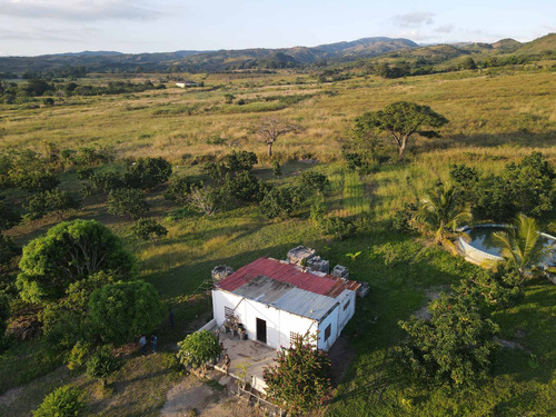 Imagen 17 de 24 de Granja En Venta Yaritagua 12 Hectareas Cod. 23-17577