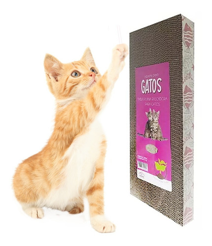 Rascador Gatos Carton Corrugado Durable Hierba Gatera Grande