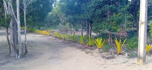 Imagem 2 de 23 de Terreno À Venda Em Arraial D'ajuda - Porto Seguro, Terreno Plano Com Área Limpa Pronta Para Construção, Ponto De Água, Energia, Área De Lazer E Playground